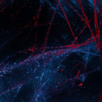 quantum